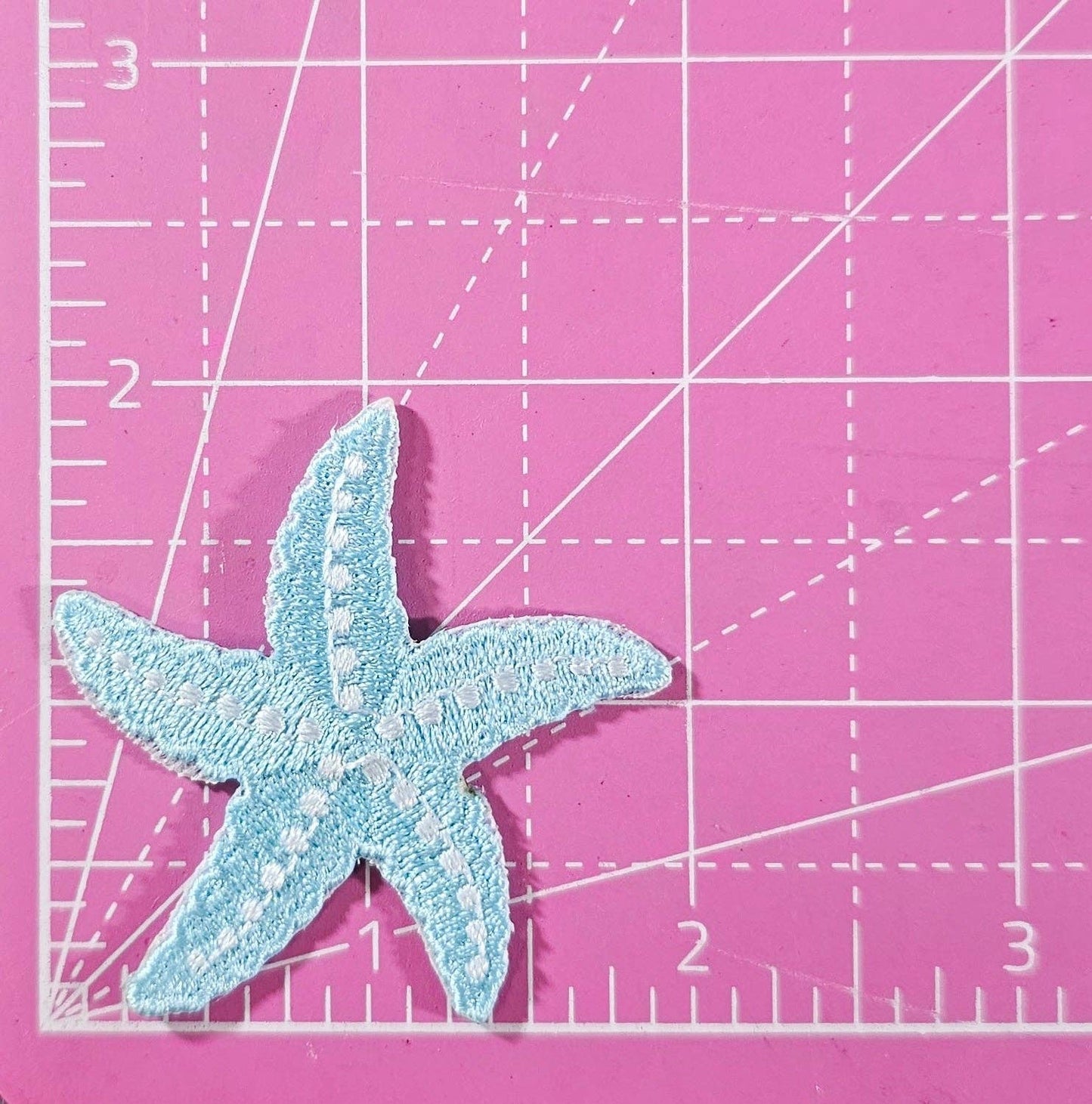 Starfish Blue Patch