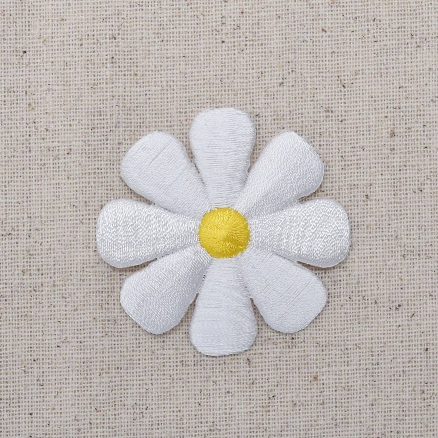White Daisy Flower Patch