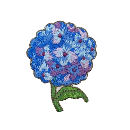 Blue Hydrangea Patch