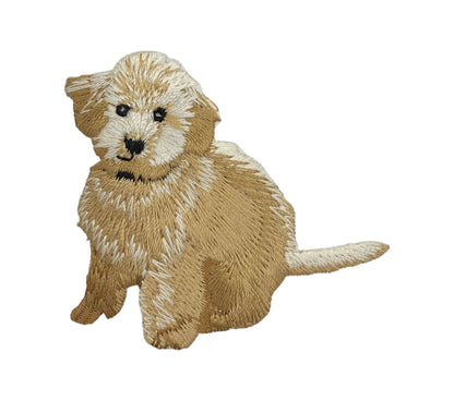 Golden Doodle Patch