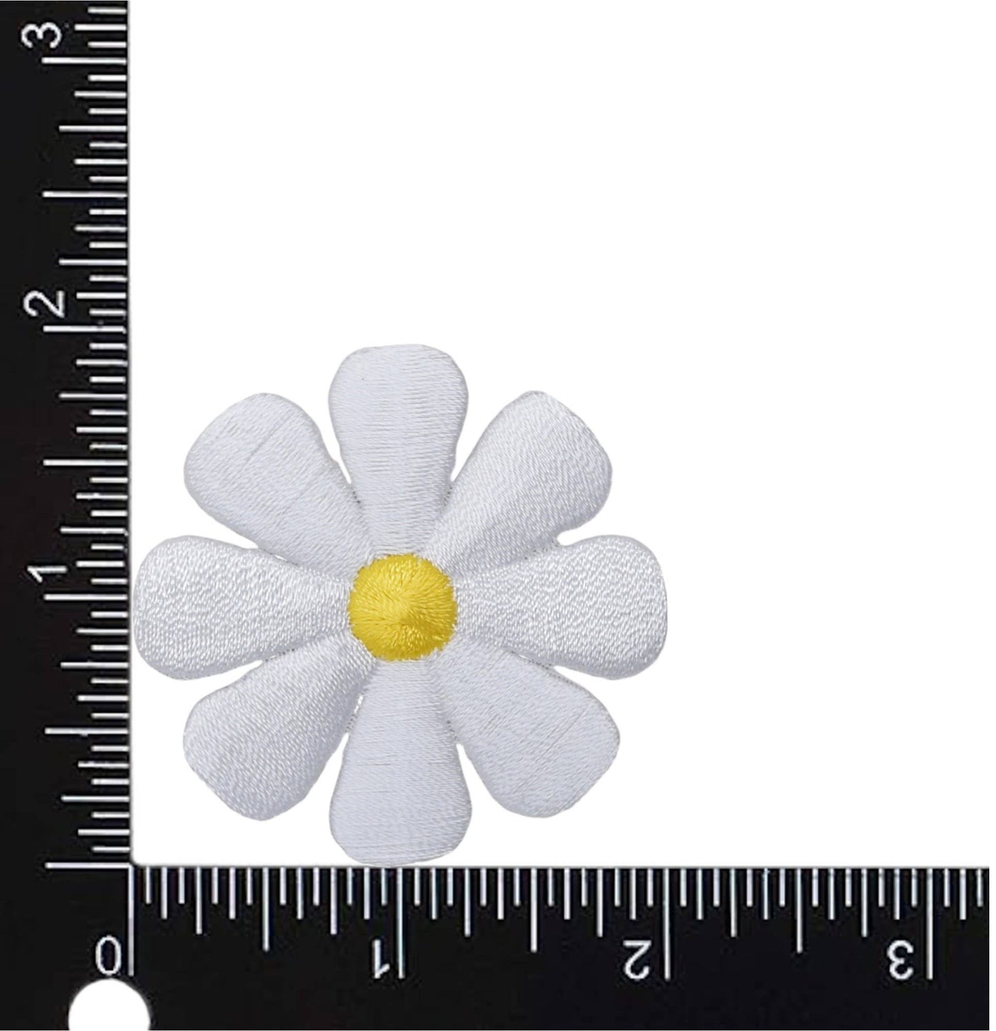 White Daisy Flower Patch