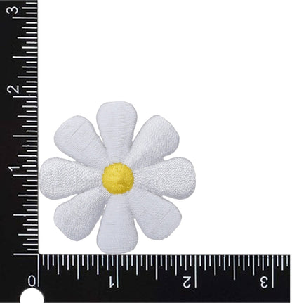 White Daisy Flower Patch