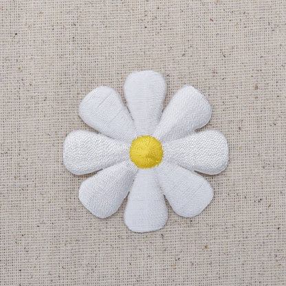 White Daisy Flower Patch