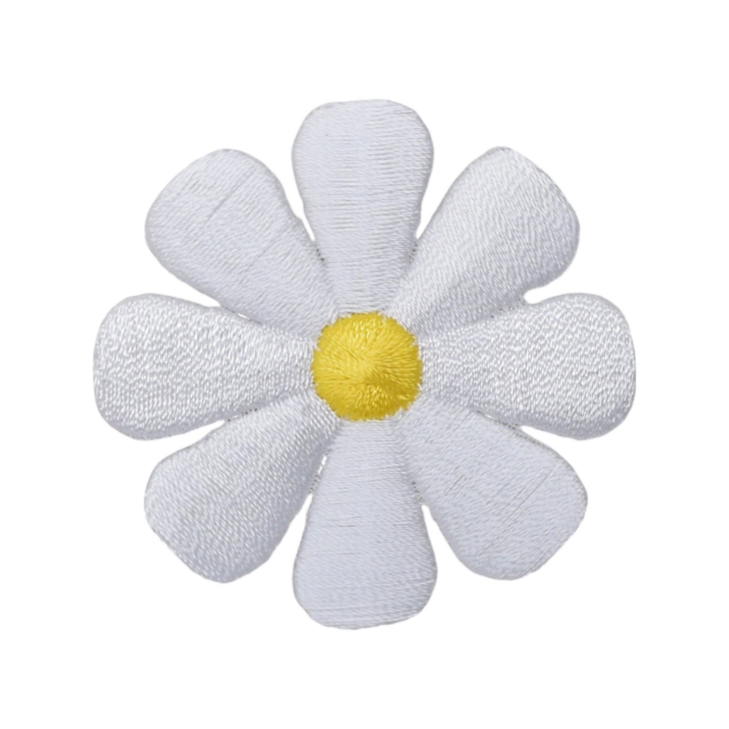 White Daisy Flower Patch